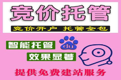 百度SEM广告策略在电商行业的成功案例